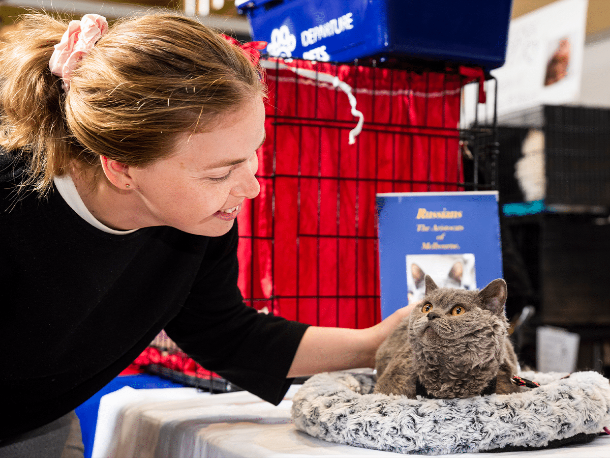 Melbourne cat lovers show 40