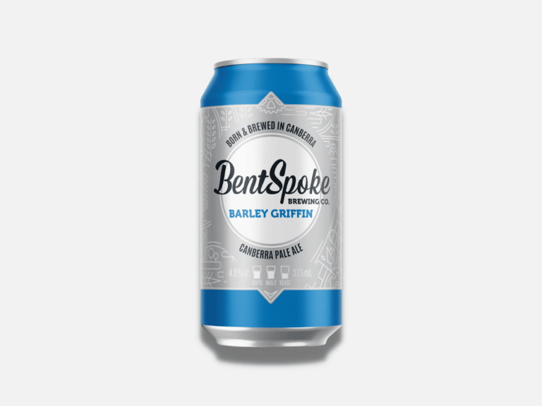 23 Best Pale Ale Beers to Crack Open Man of Many