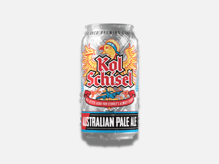 23 Best Pale Ale Beers to Crack Open Man of Many