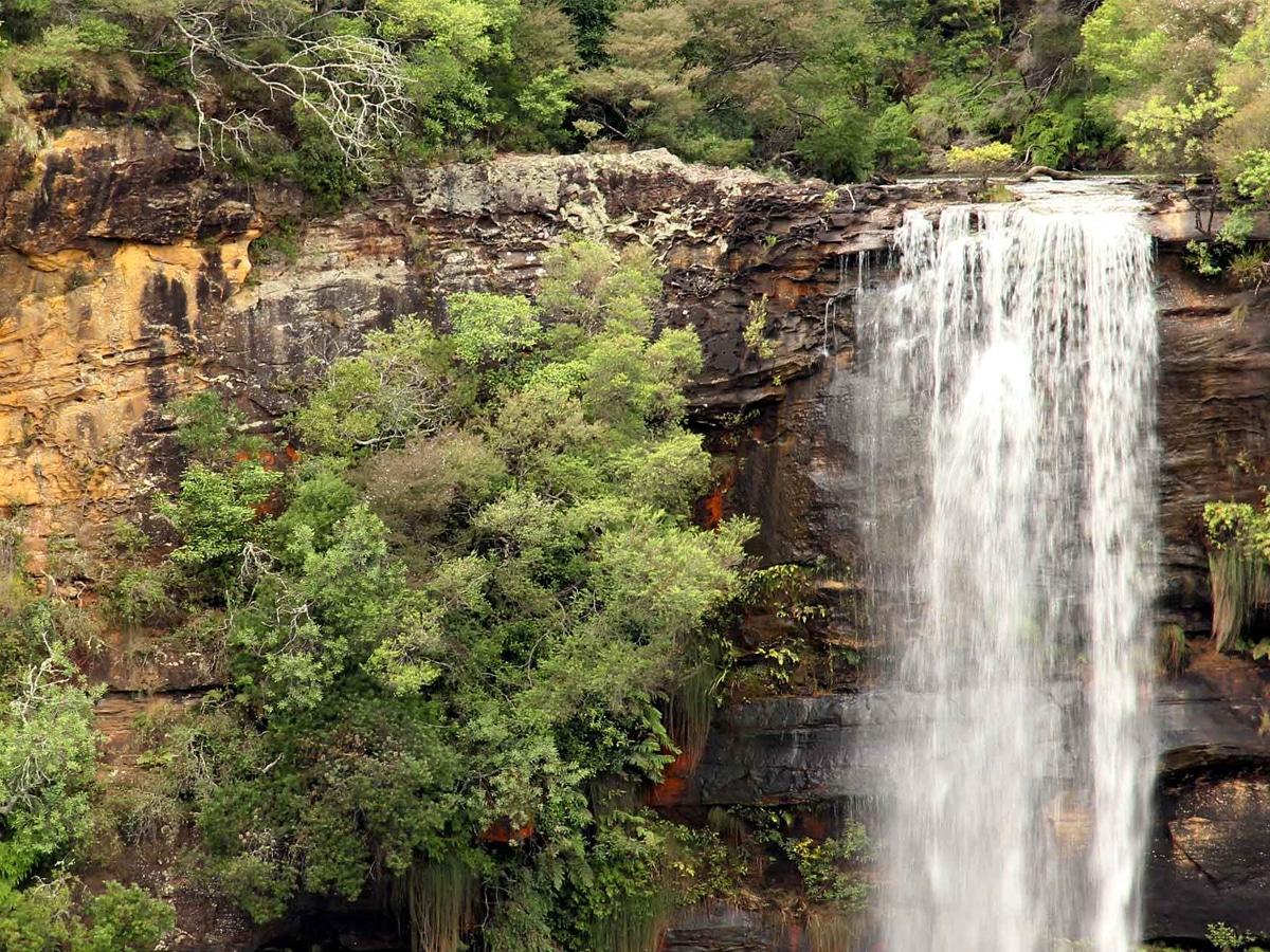 Fitzroy falls morton national park