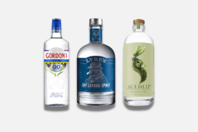 Best non alcoholic gins 1