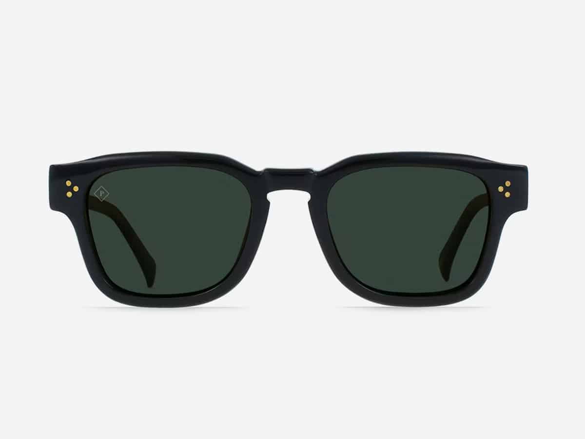 Raen optics rece polarized sunglasses