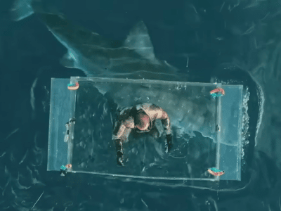 Incredible Footage Shows Diver's Close Call with Monstrous Great White Shark