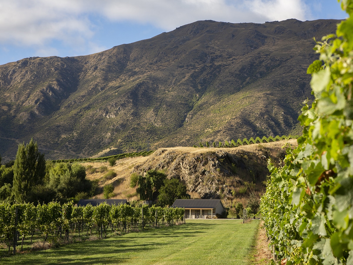 16 Best Things to Do in Queenstown Man of Many