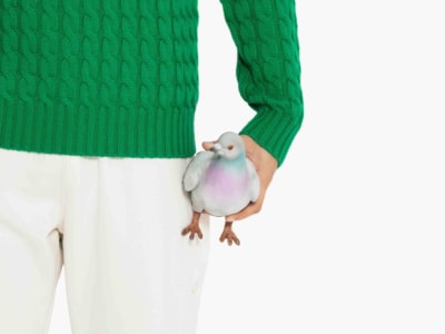 J.W. Anderson's $1,260 Pigeon Clutch Can Pigeoff