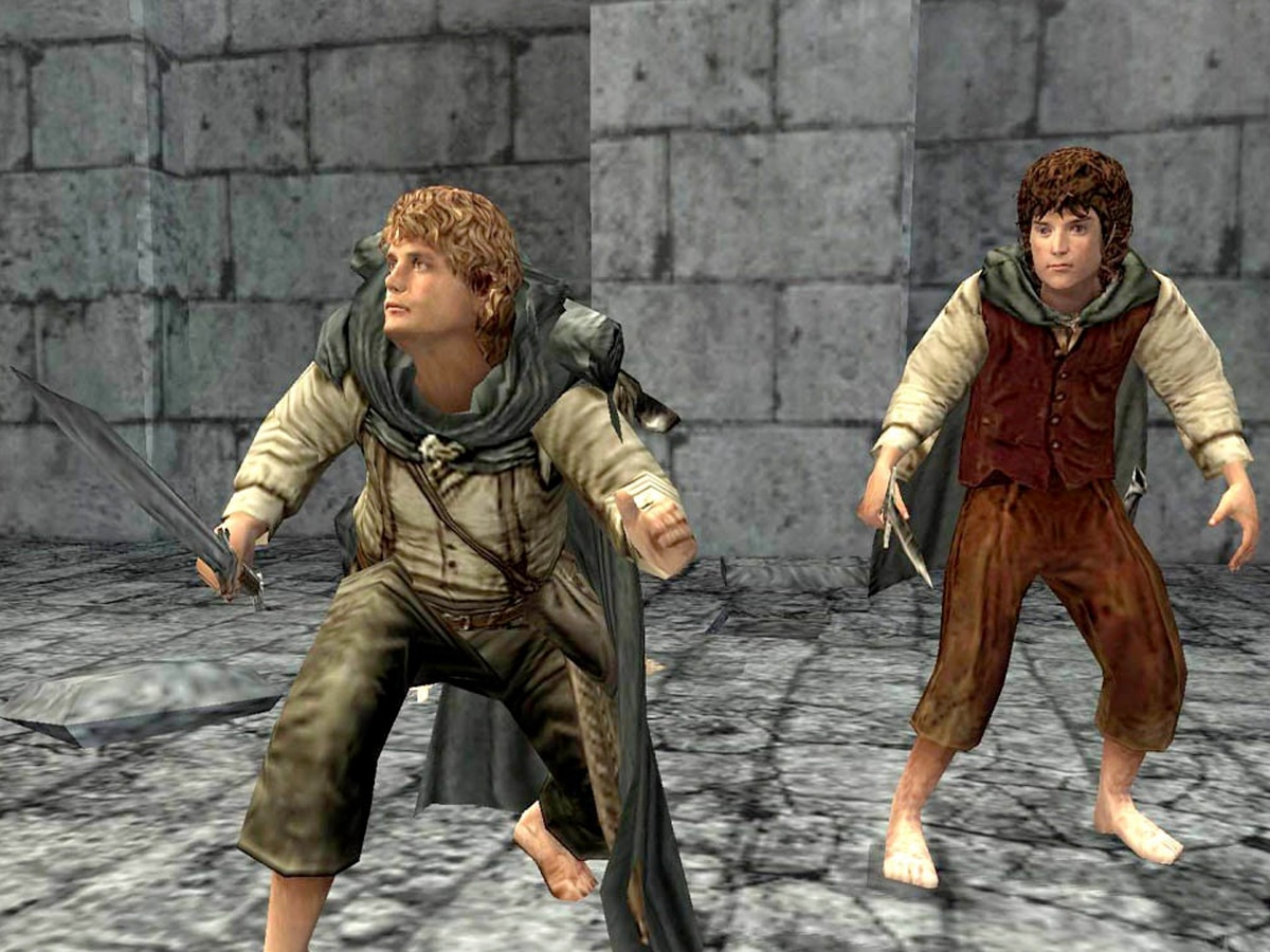 The Lord of the Rings: The Fellowship of the Ring (video game