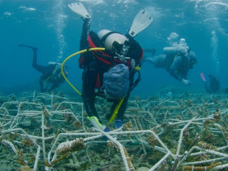 Blancpain, Biopixel & the Battle to Save the Great Barrier Reef | Man ...