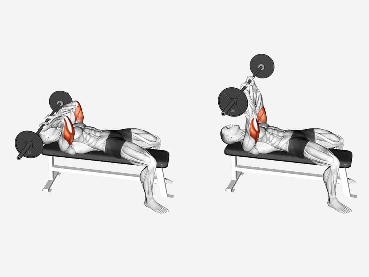 3 lying triceps extension