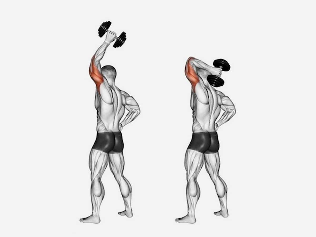 Triceps Workout Exercises Names With Pictures Infoupdate