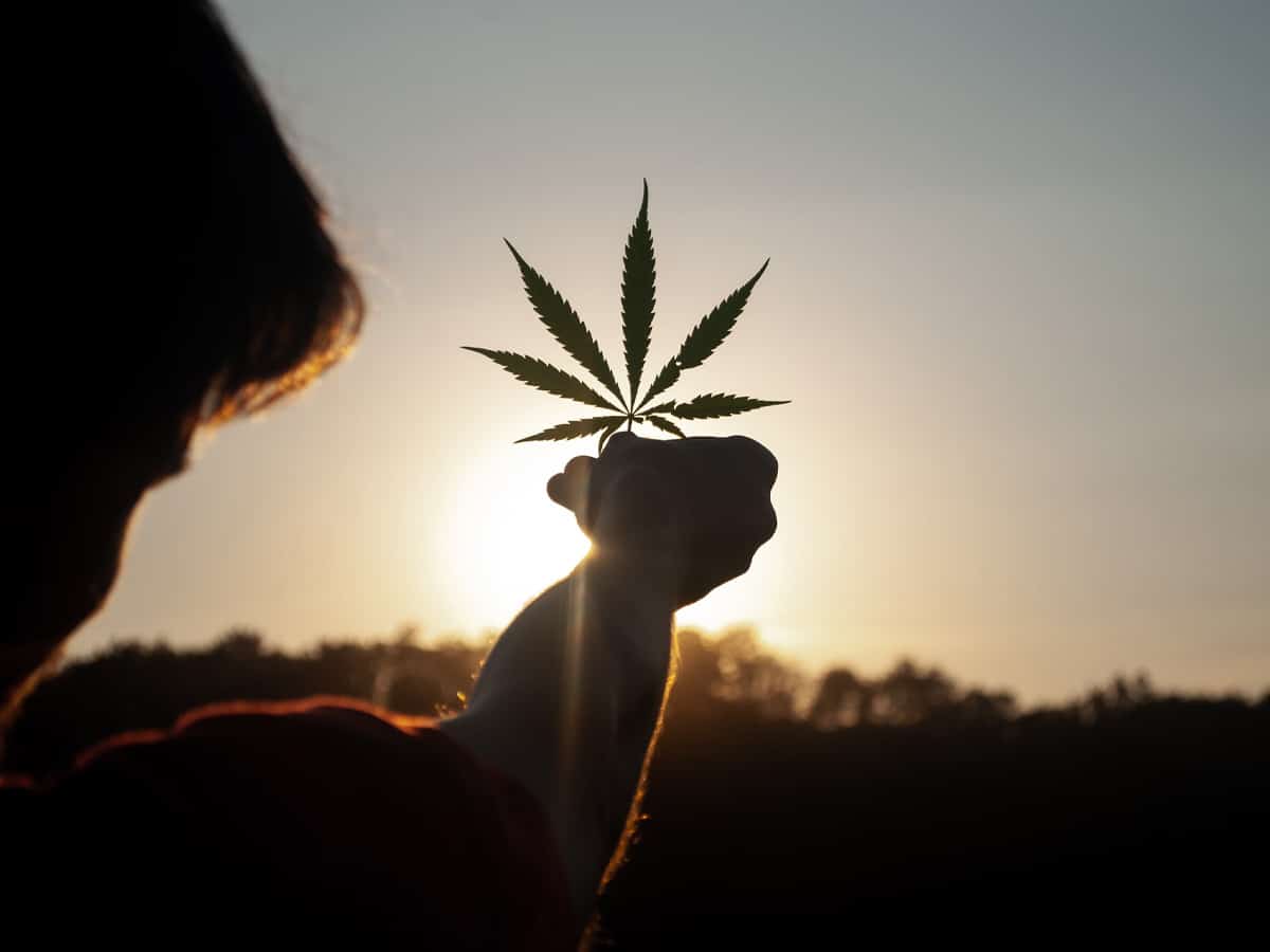 Australia legalise cannabis