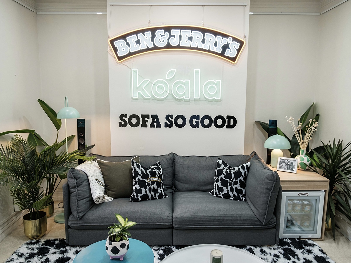 Koala ben and jerrys sofa sessions