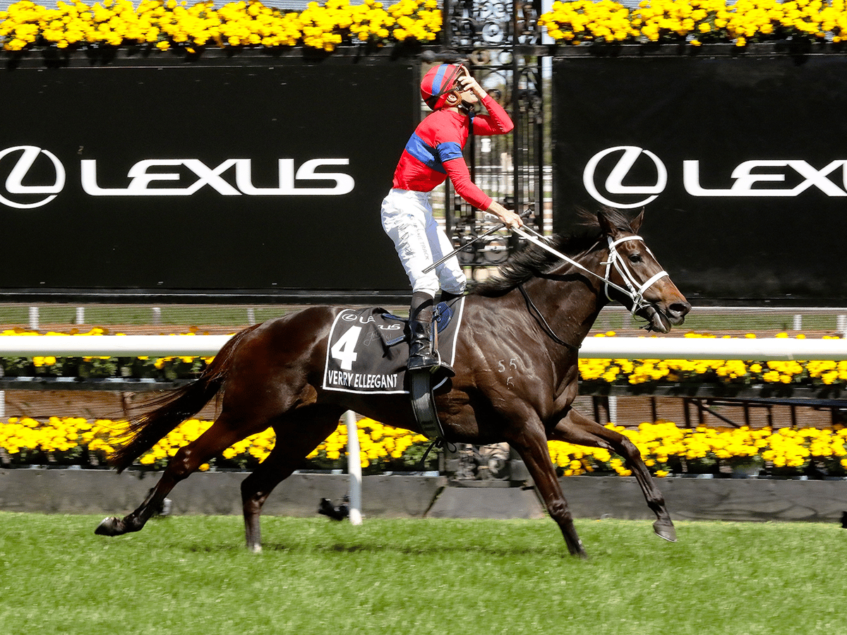 Melbourne Cup