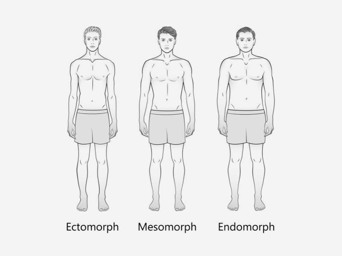 This type of body. Формы тела эктоморф мезоморф эндоморф. Астеник эктоморф. Тип телосложения эктоморф эндоморф. Типы телосложения человека эктоморф мезоморф эндоморф.