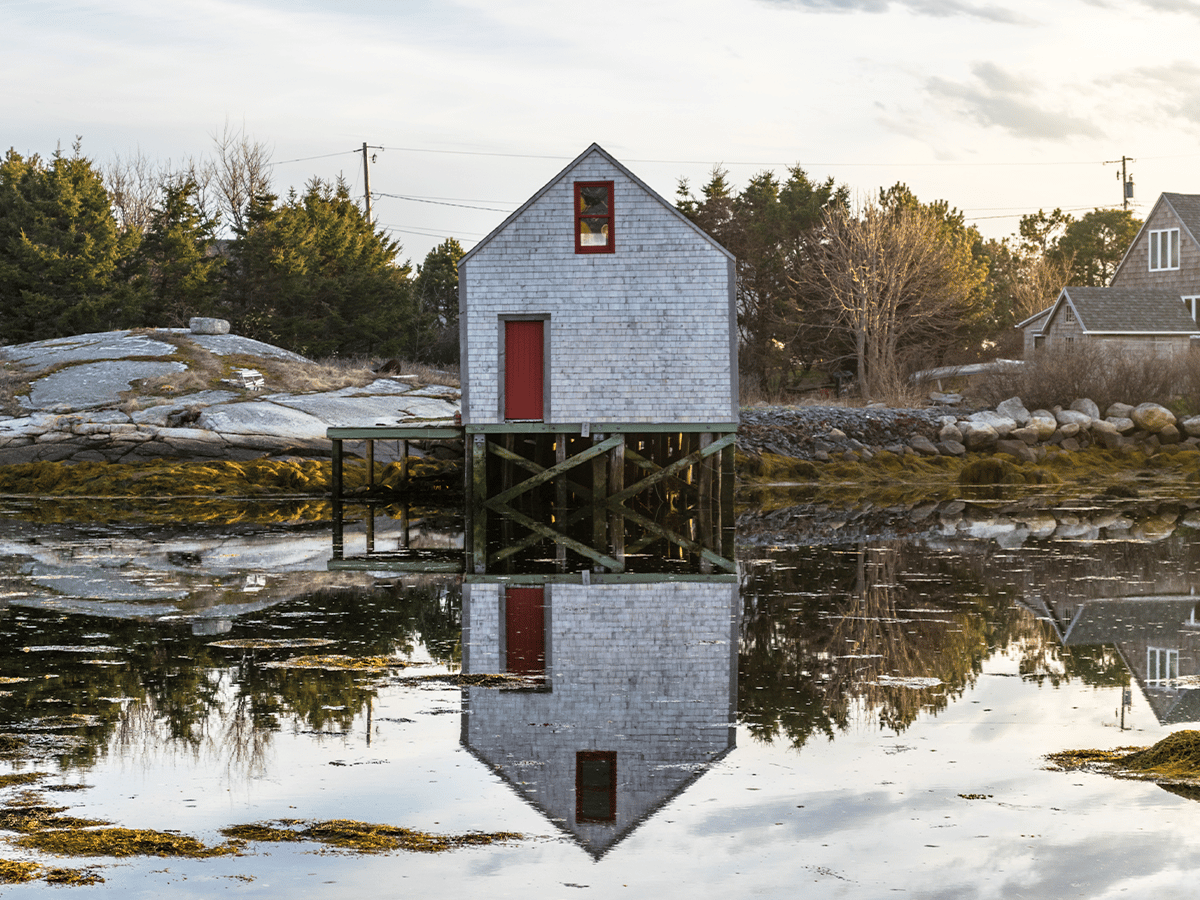 Enrique hoyos nova scotia