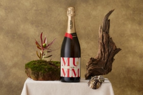 Mumm tassie