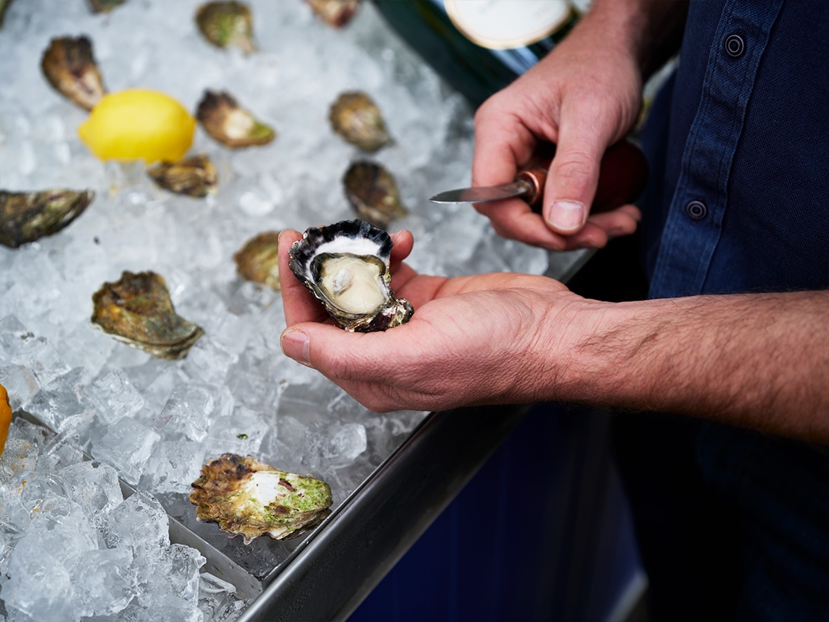 Tilbury oyster 3