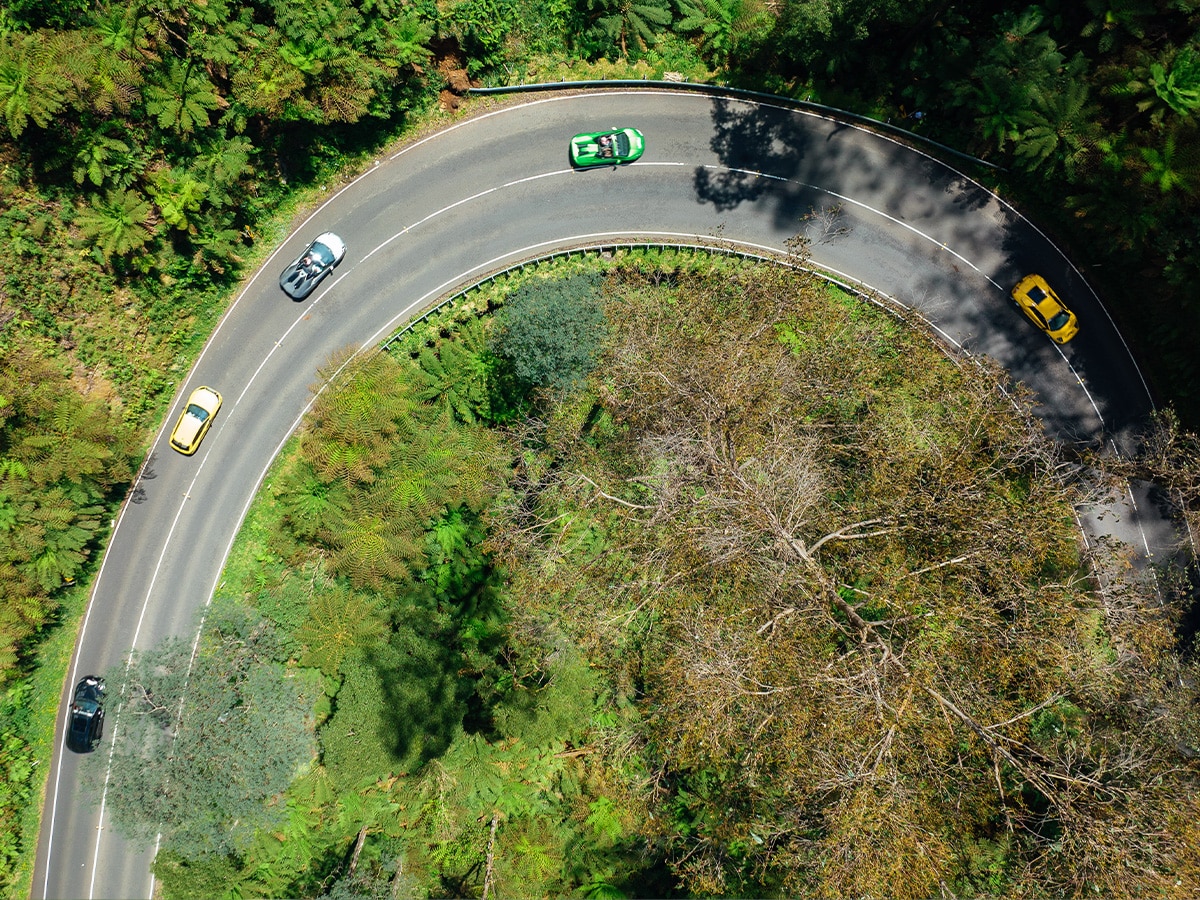 Lamborghini movember giro driving 3