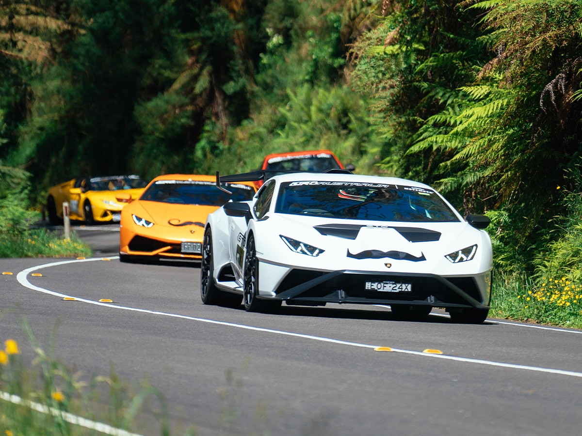 Lamborghini movember giro driving 4