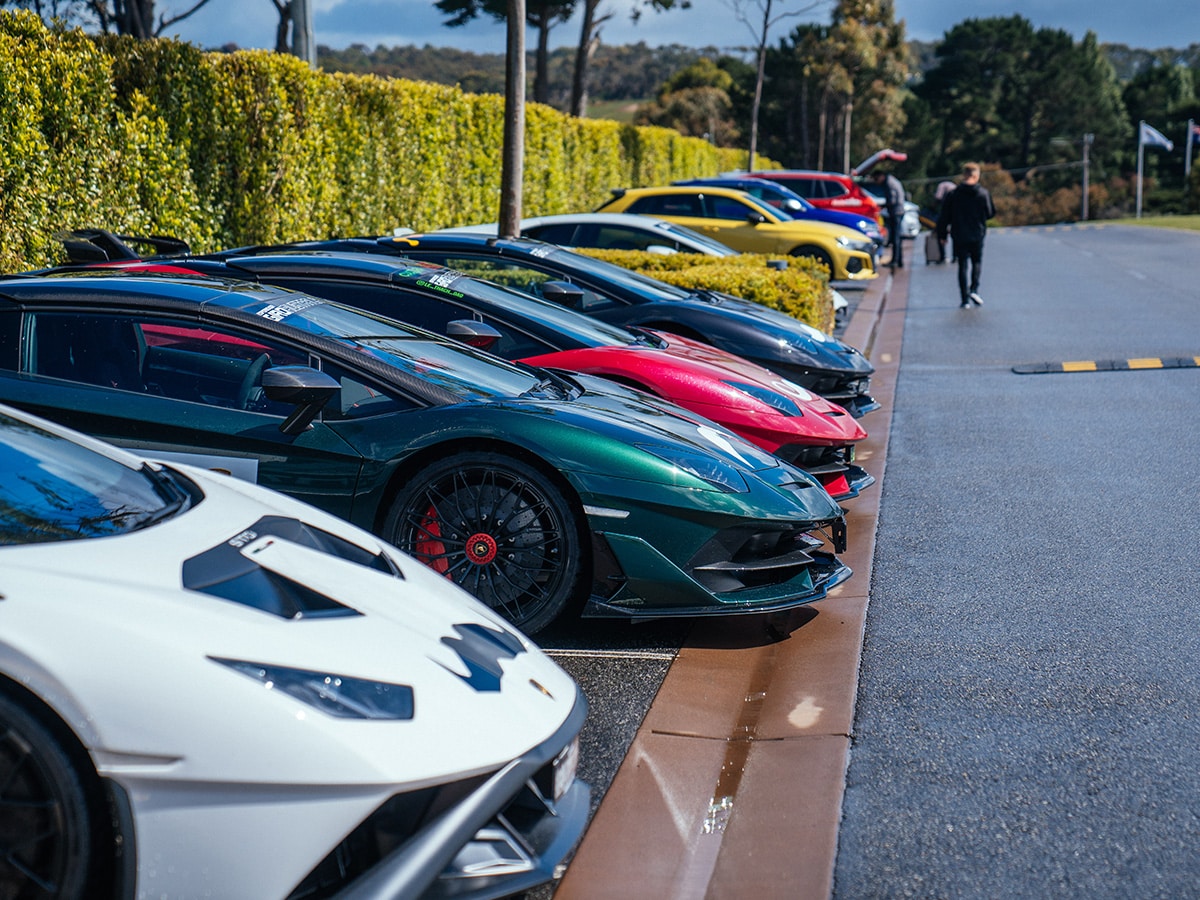 Pt leo estate with lamborghinis