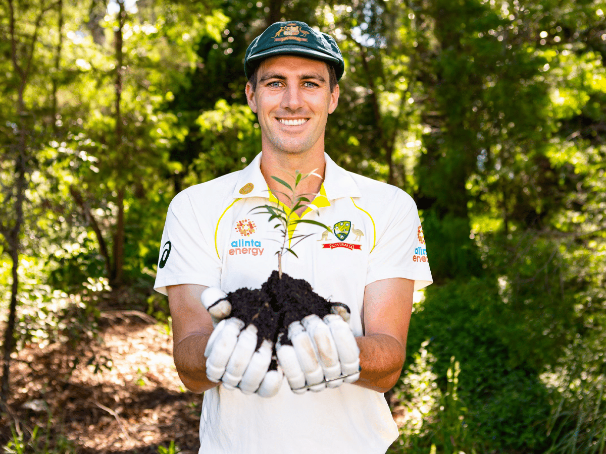 4 pines landcare australia cricket australia