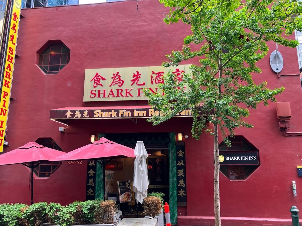 Shark fin inn