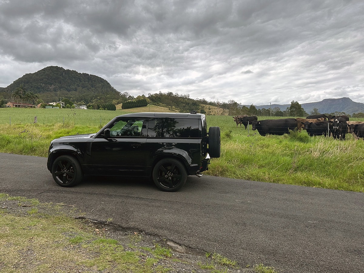 Land rover defender 90 v8 in front of cows