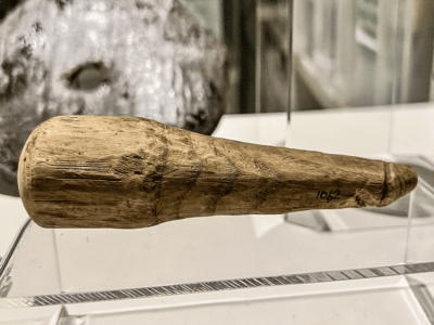 'It Looks Like a Dick': Archaeologists Uncover 2,000 Year Old Wooden Dildo
