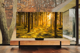 75" QN900B Neo QLED 8K Smart TV (2023) | Image: Samsung