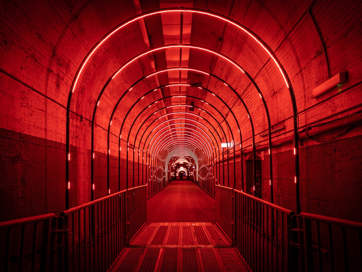 Dark spectrum vivid sydney 2023 red light tunnel