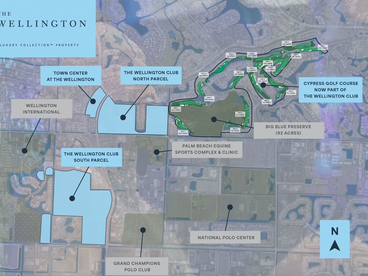 Outline of the town development The Wellington