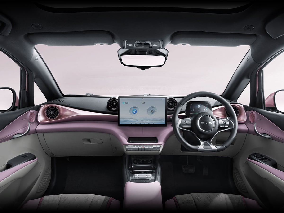 Byd dolphin australia pink dashboard