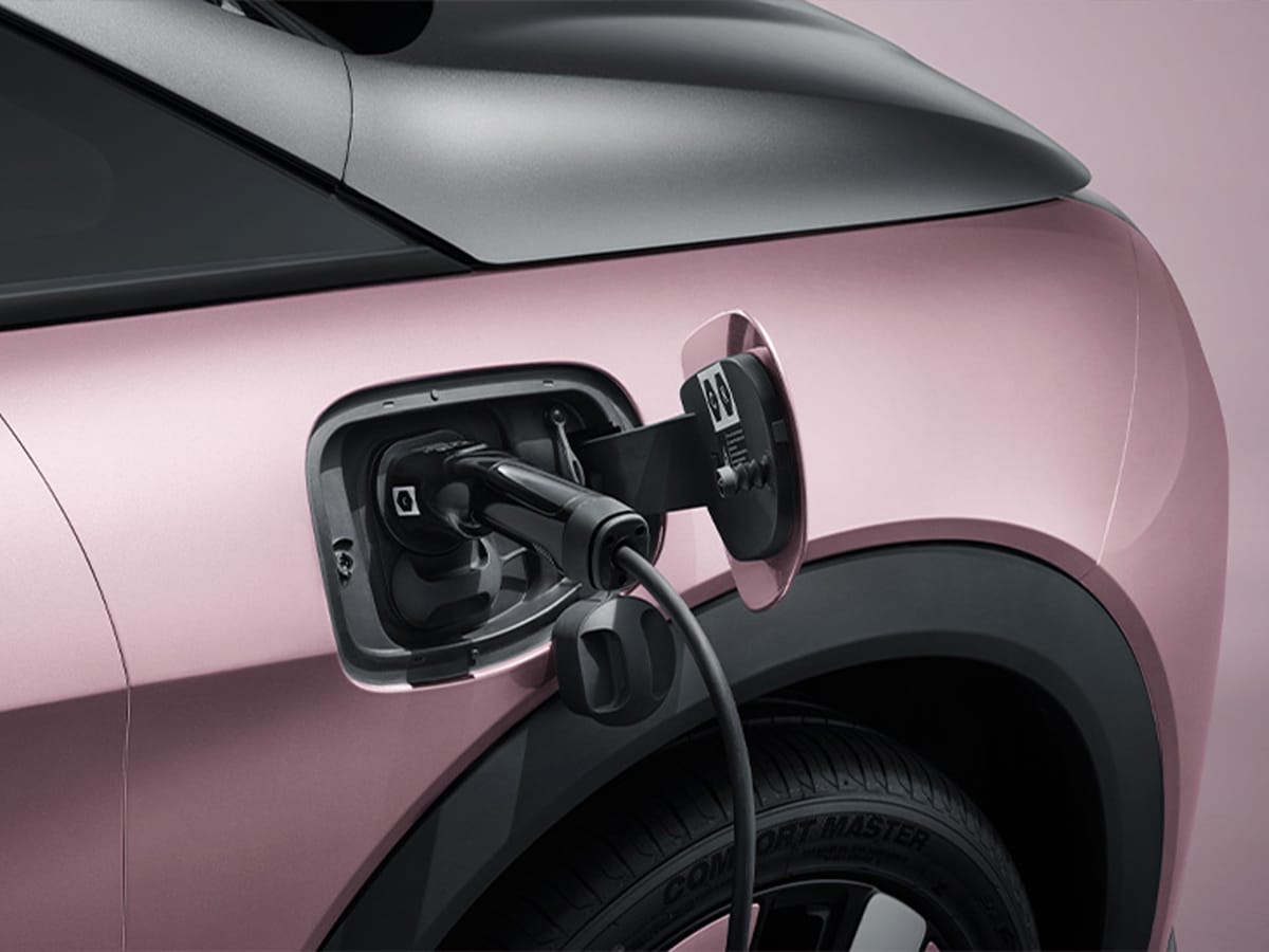 Byd dolphin pink ev charger