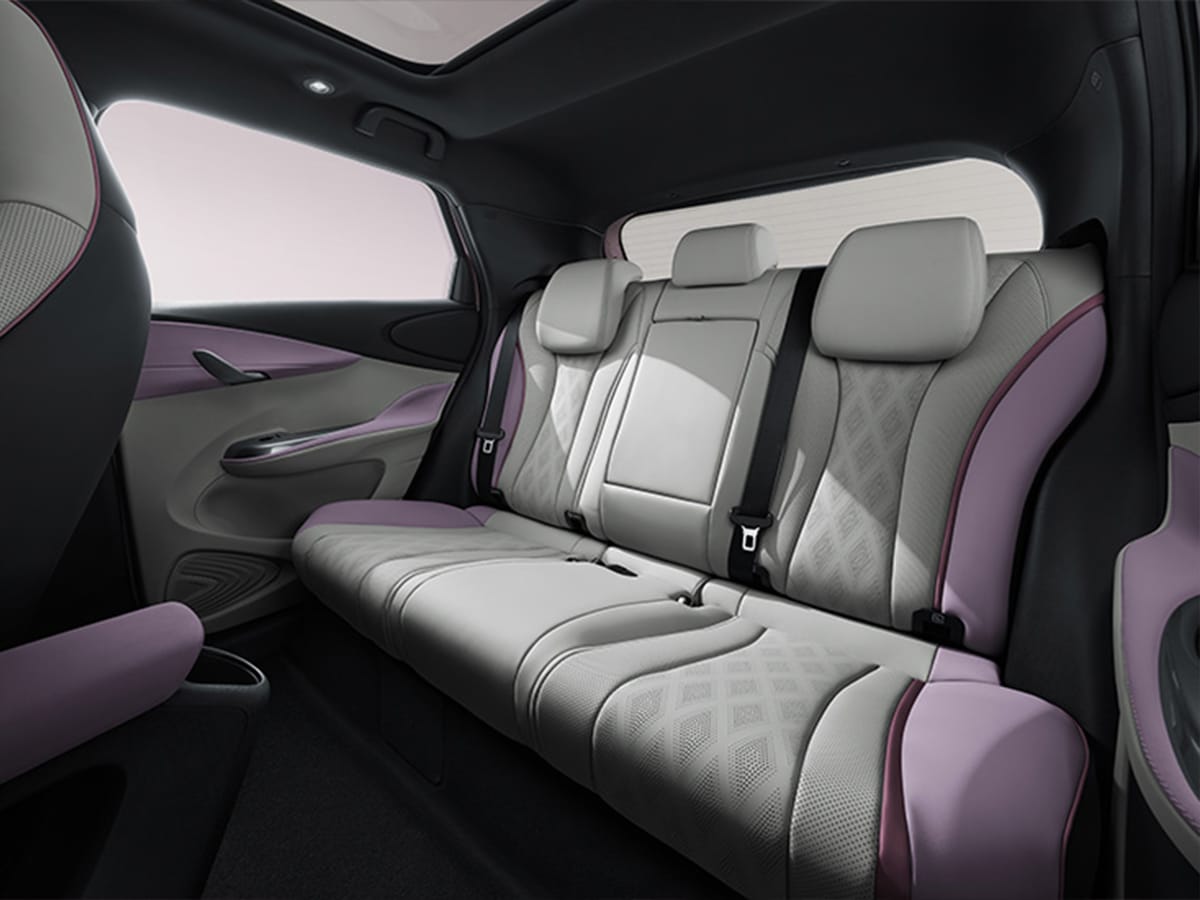 Byd dolphin pink rear seats