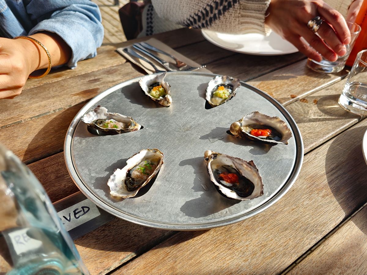 Freycinet marine farms oysters