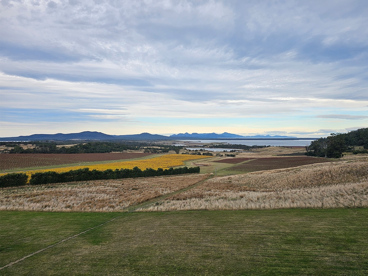 View from devils corner cellar door