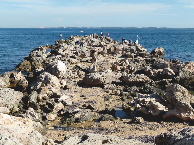 14 Best Perth Fishing Spots to Drop a Line | Man of Many