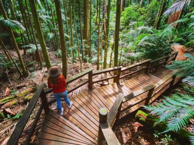 16 Best Walking Tracks in Brisbane