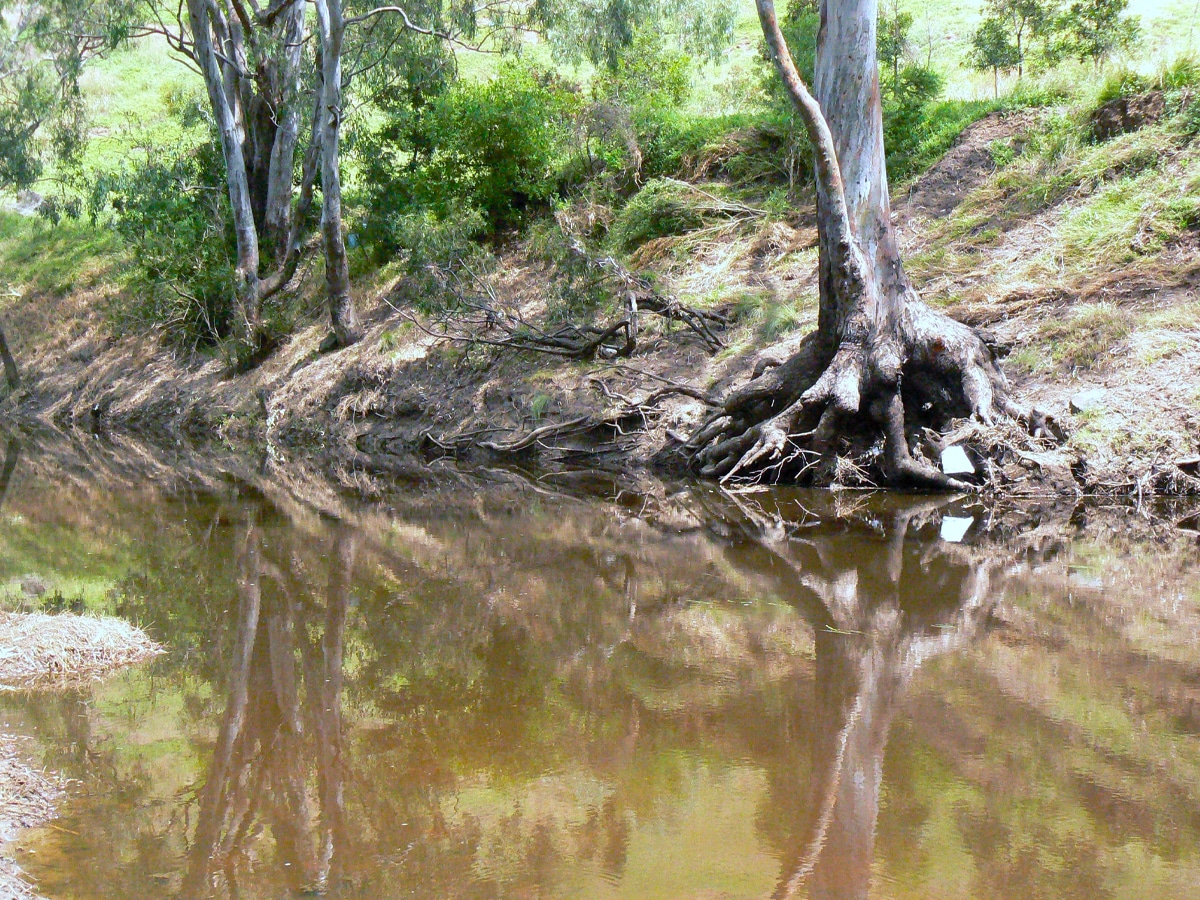 Brimbank Park