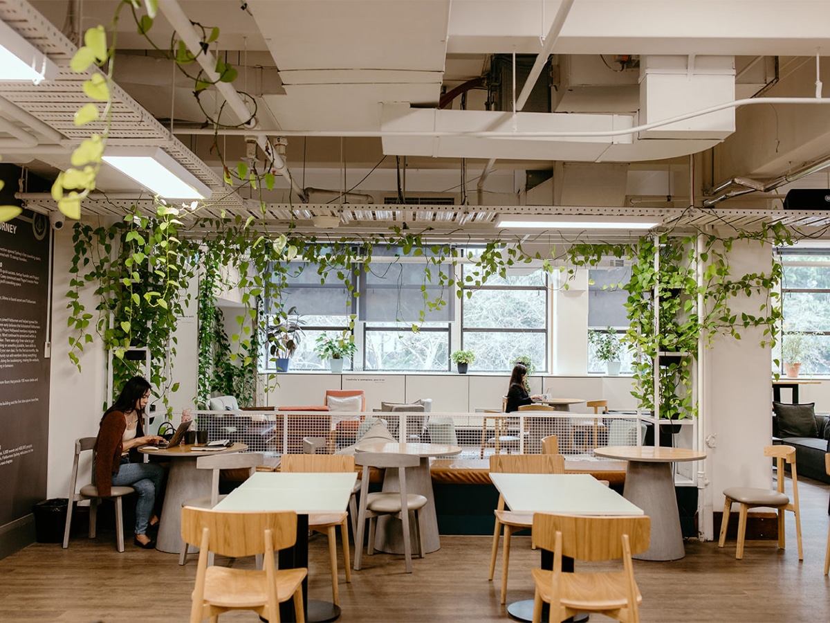 383 George St Coworking Office Space