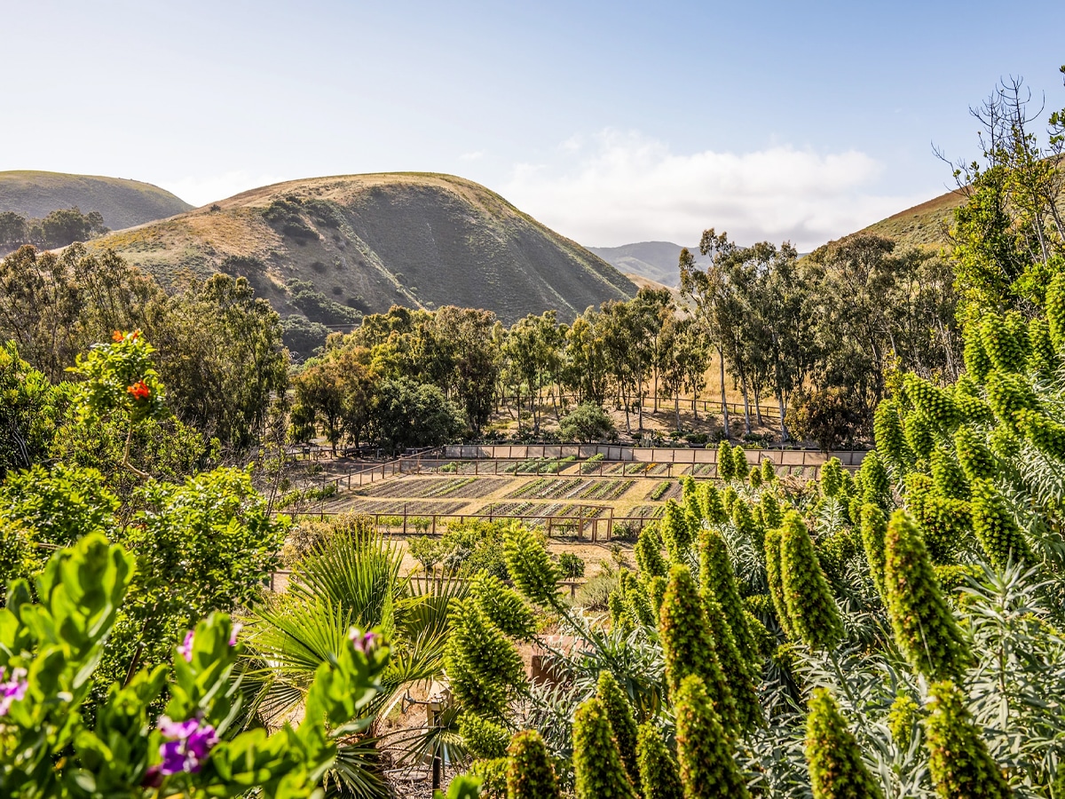 James Cameron's 89 Hollister Ranch | Image: Emily Kellenberger & Associates