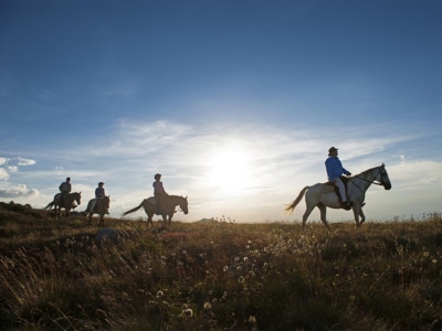 5 Best Places to Go Horse Riding in Melbourne