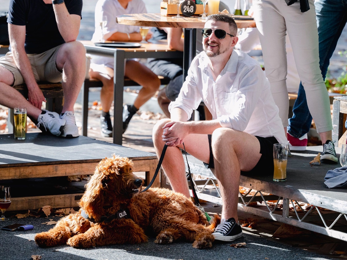 Brewdog is hosting 'adopt a puppy day'