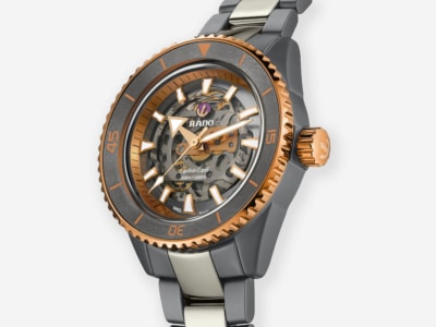 The Art of Skeletonisation: Rado's Dark and Brooding Captain Cook