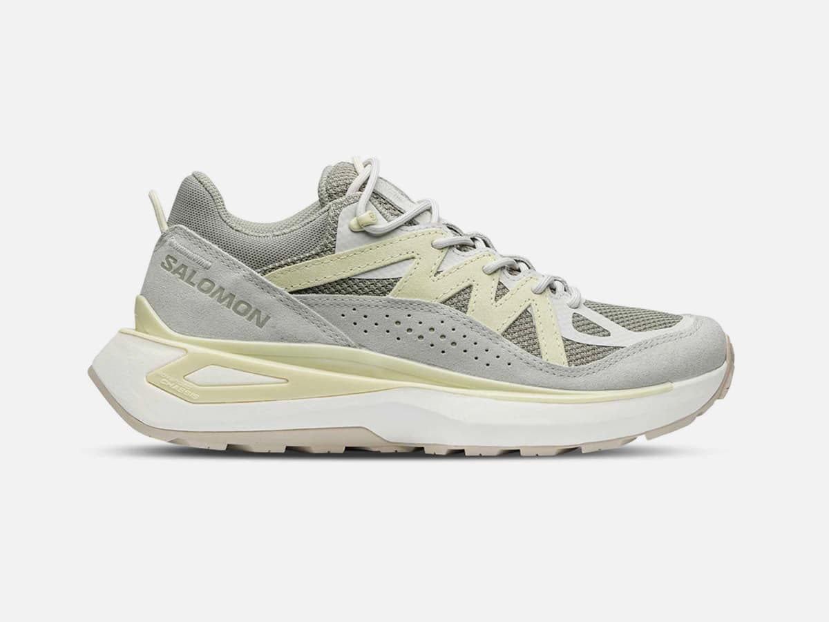 Salomon Odyssey ELMT LOW 'Shadow/Metal/Aloe Wash' | Image: Salomon