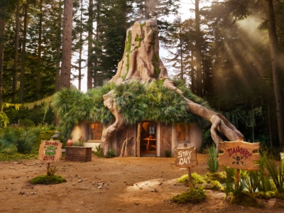 Airbnb Wants You to Live Like an Ogre at Shrek's Iconic Swamp House