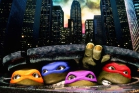 Teenage mutant ninja turtles
