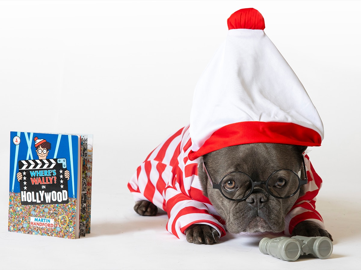 Man's best friend just got their own book week