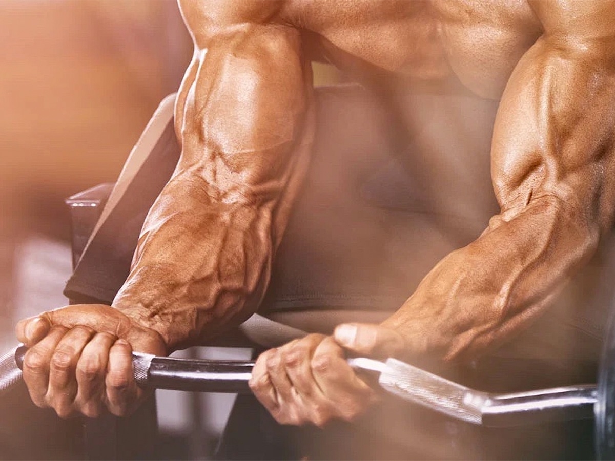 13 Best Forearm Workouts and Exercises