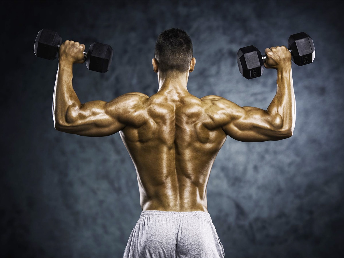 Medium shot of a bodybuilder’s back while lifting dumbbells with both hands