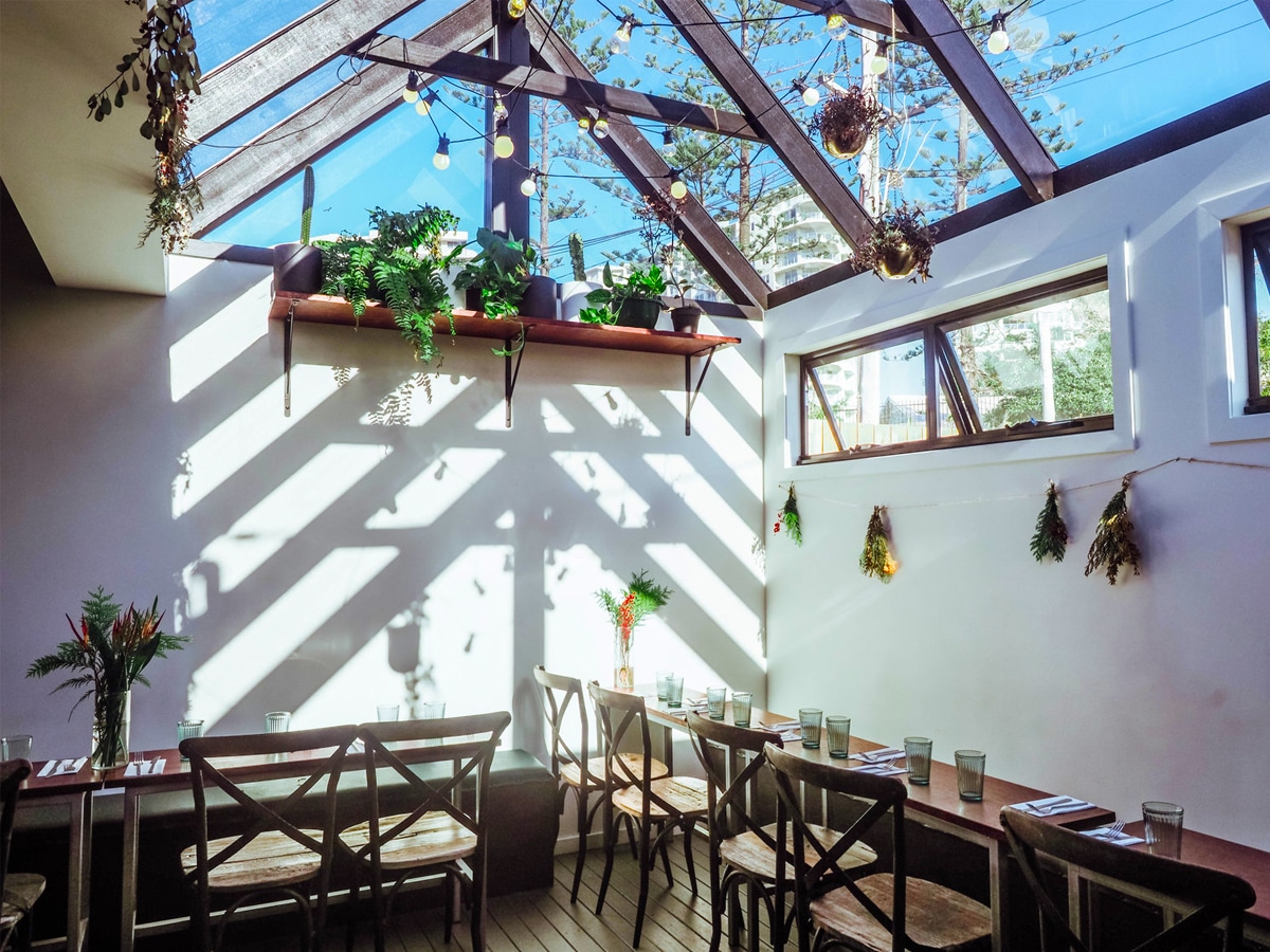 Interior of Greenhouse Canteen & Bar with cozy wooden tables and ample natural light from a wide glass roof